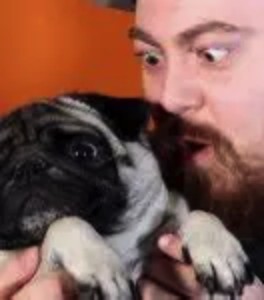 Count Dankula